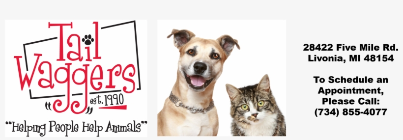 How Microchipping Works - Cat And Dog Buddies [book], transparent png