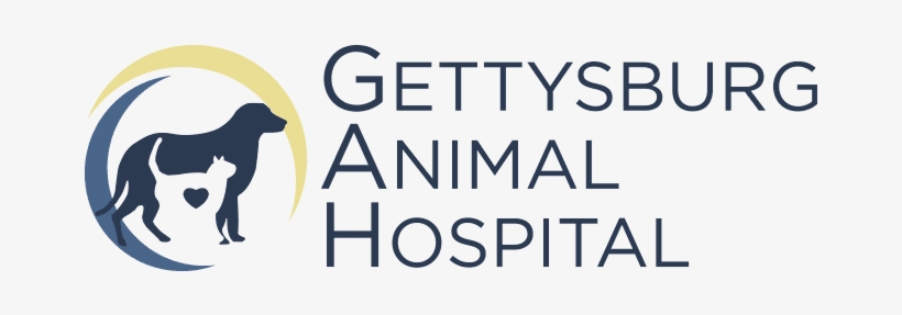 Veterinarians Serving Gettysburg Pa, transparent png