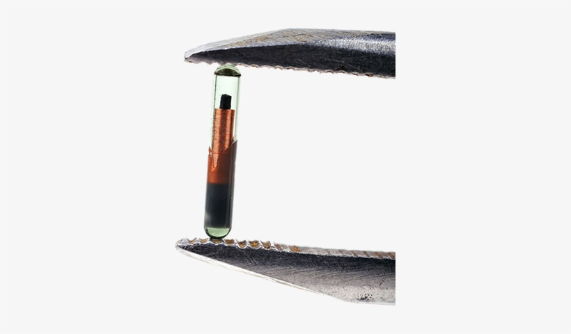 At Animal Hospital Of The Woodlands We Know How Much - Umbrella, transparent png