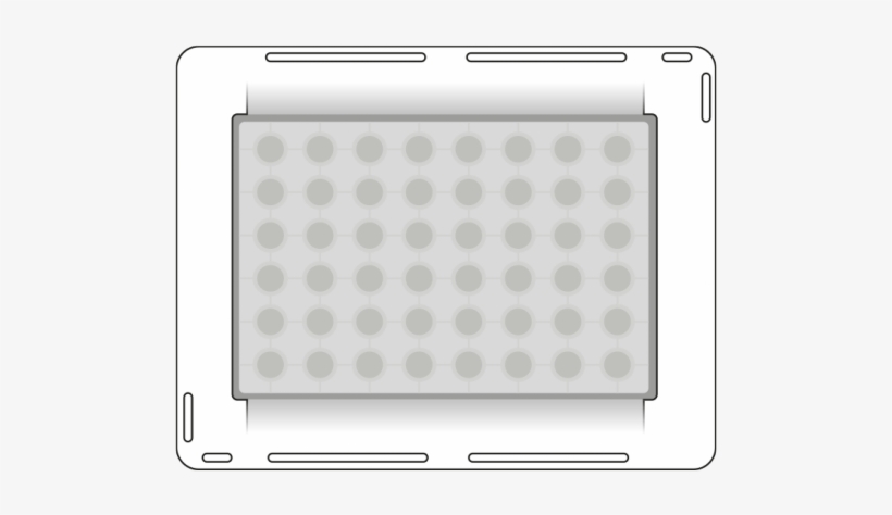 Domino For Axion 48-well Plate - Andrew Alliance S.a., transparent png