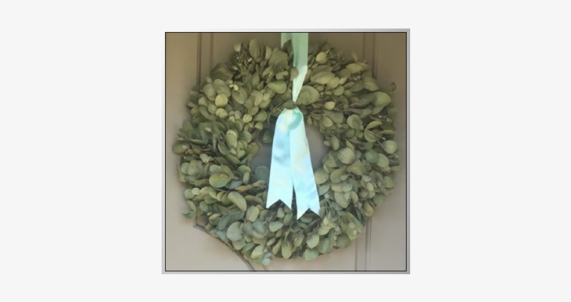 Leaf, transparent png