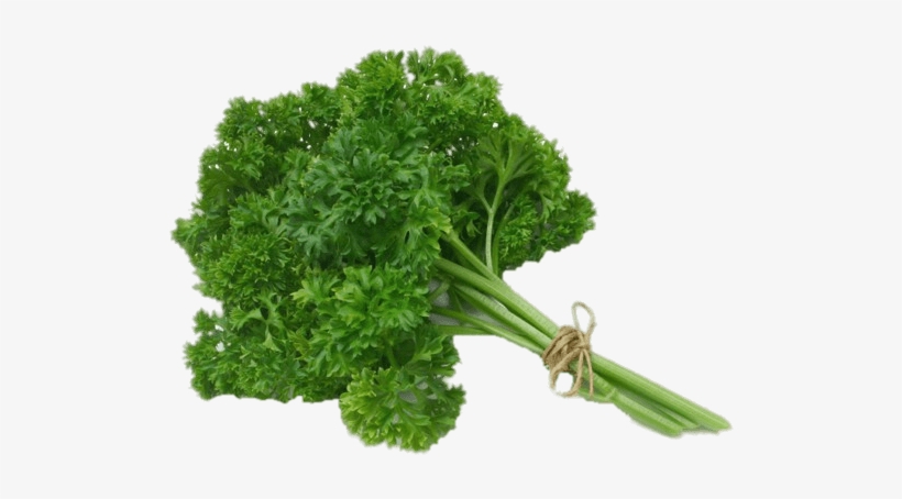 Parsley - Parsley Png, transparent png