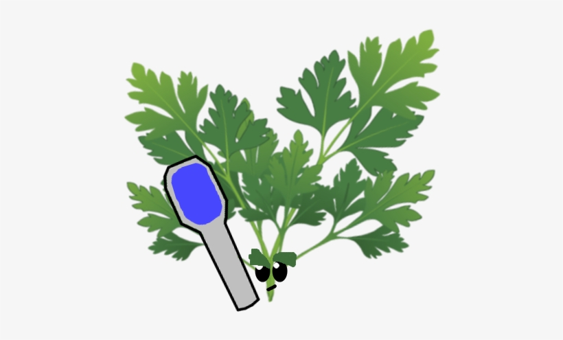 Bubble Parsley - Salsa Salvia Alecrim E Tomilho, transparent png