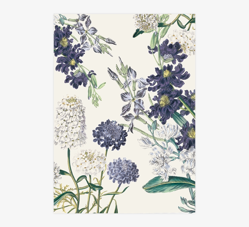 Savethedate Botanical Garden Pepperandjoy Pattern - Posterazzi Botanical Garden I Canvas Art - Piper Ballantyne, transparent png