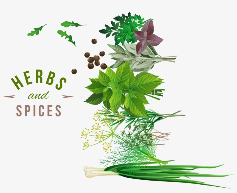 Herb Spice Vegetable - Png Herbs And Spices Free Hd, transparent png