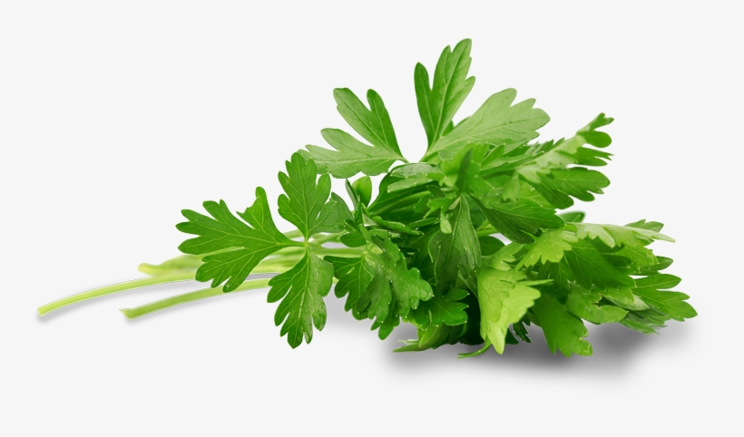 Goodness From The Vegetable Garden - Me.fan Clear Seasoning Rack Spice Pots 4 Piece Acrylic, transparent png