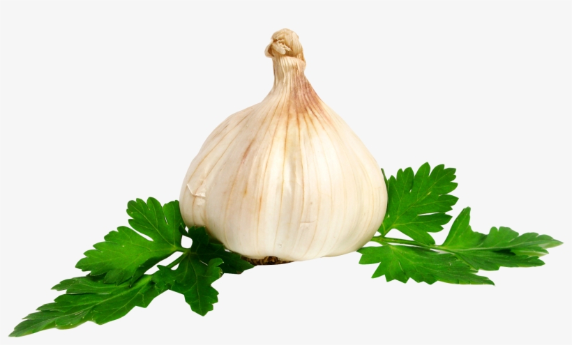 Garlic Png Image - Garlic .png, transparent png