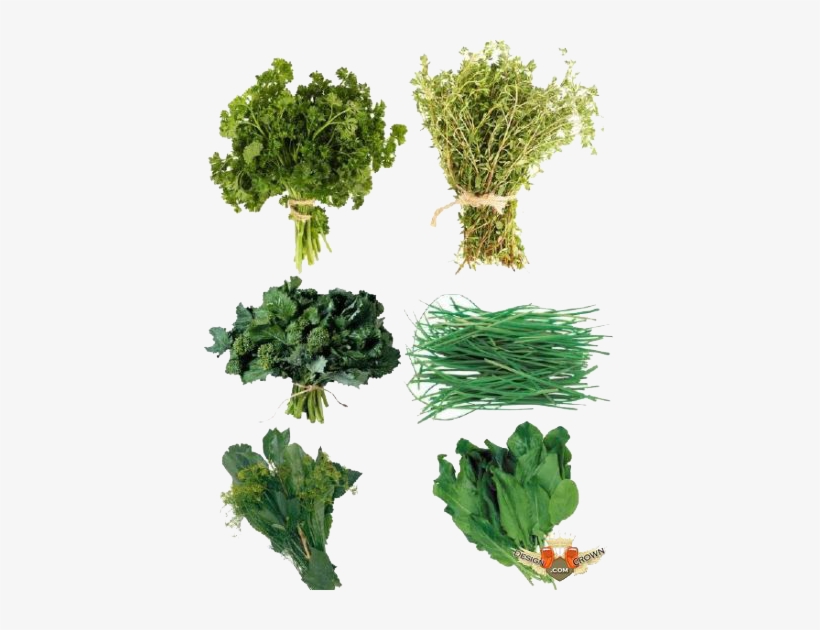 Herbs Png Photos - Herbs .png, transparent png