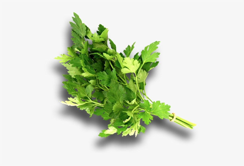 Parsley Png Download - 2-tlg. Glasbilder-set Different Herbs, Fotodruck Eurographics, transparent png