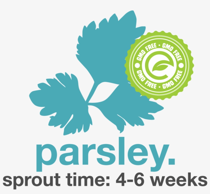 Parsley - Junior Chamber International, transparent png