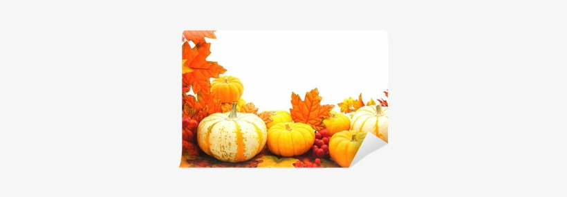 Border Or Frame Of Pumpkins And Vibrant Autumn Leaves - Cadre Citrouille D Automne, transparent png