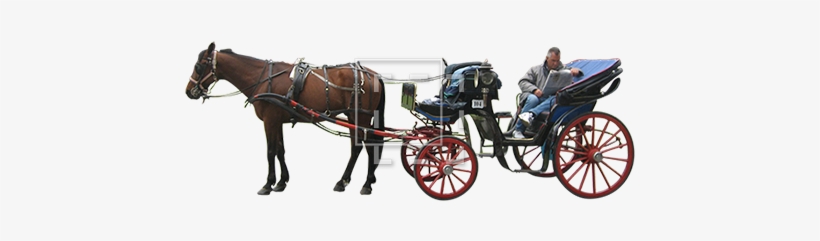 Horse And Carriage Png - Horse Drawn Carriage Png, transparent png