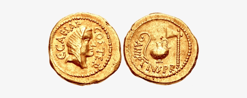 Flori Moneda, transparent png