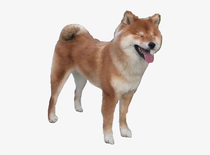 Happy Happydog Dog Doggo Pupper Shib Shibainu Cute - Dog, transparent png