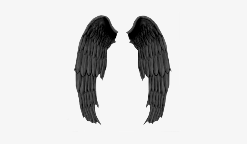 Realistic Devil Wings Png All Photoscape & Photoshop - Demon Wings Psd, transparent png