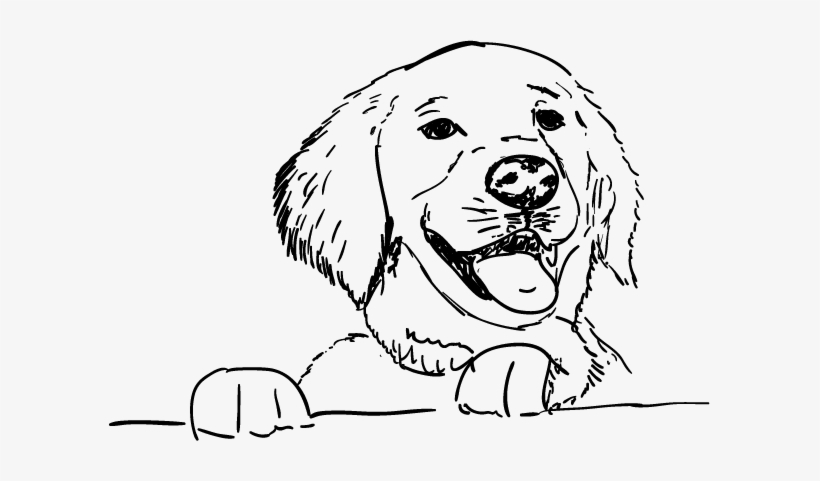 Happy Puppy Pet Sitting - Happy Dog Sketch, transparent png
