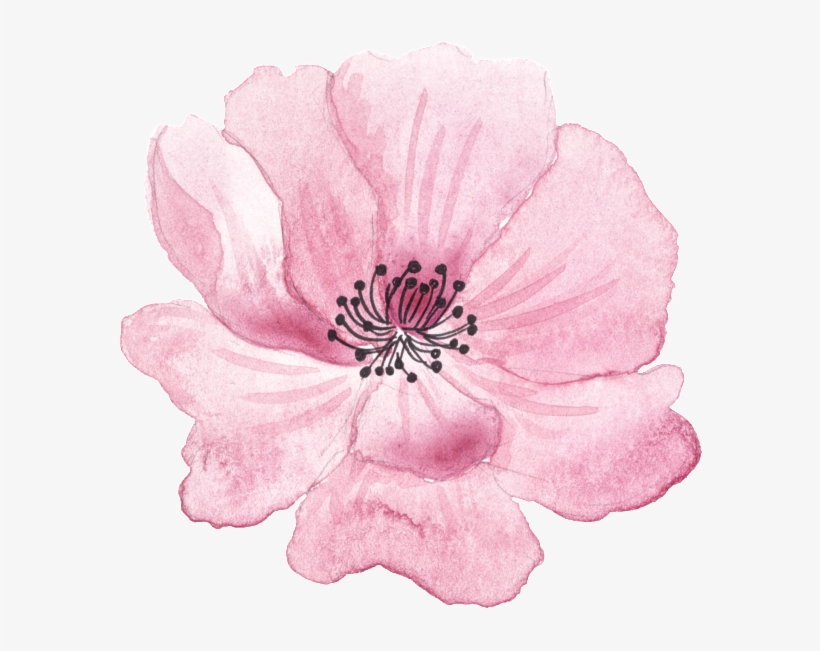 Pink Hand Painted Flowers Halloween Transparent Decorative - Headband, transparent png