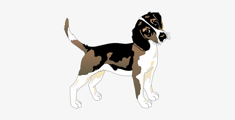 Black White Dog Beagle Pet Animal Mammal F - Beagle Dog T Shirt, transparent png