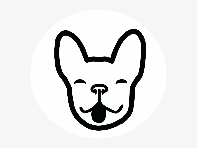 Our Certified Pet Tech Instructors Will Teach You The - Dog, transparent png