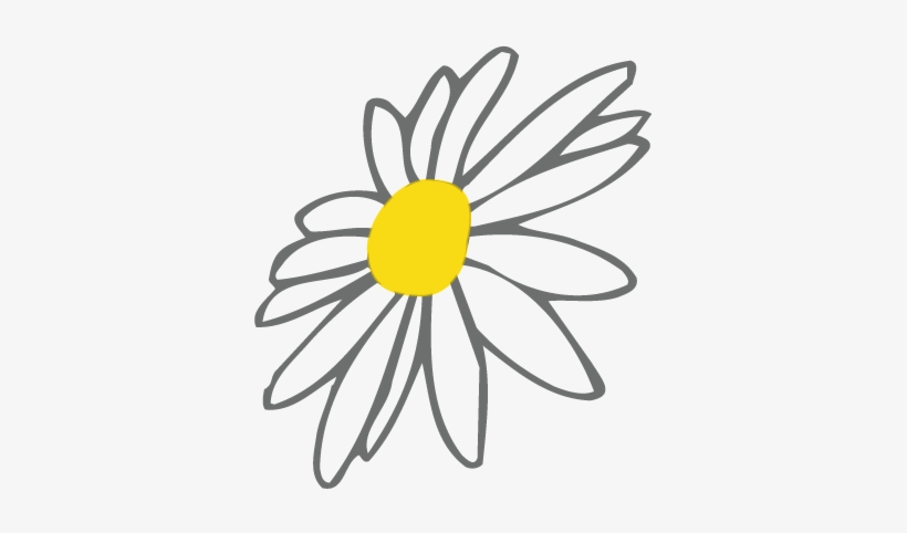 Daisy Flower Png, transparent png