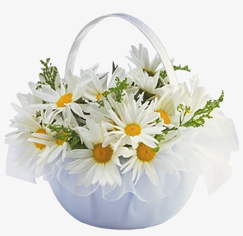 Basket Transparent Daisy - Feliz Dia De Las Madres Proverbios, transparent png