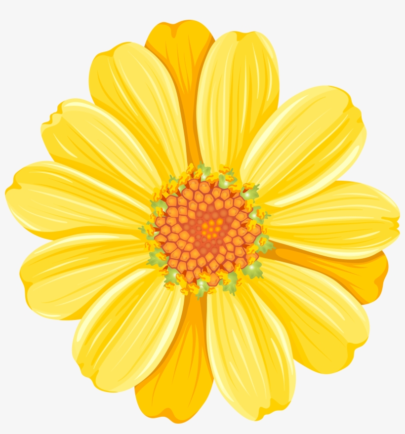 Daisy Flower Png, transparent png