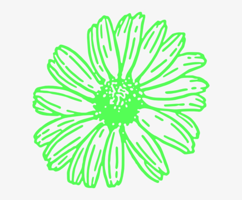 Daisy, Flower,, transparent png