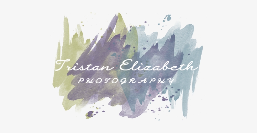 Tristan Elizabeth Photography - Photography, transparent png