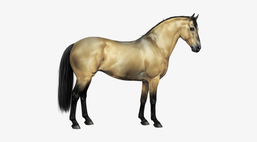 Amber Ivory Champagne Horse, transparent png