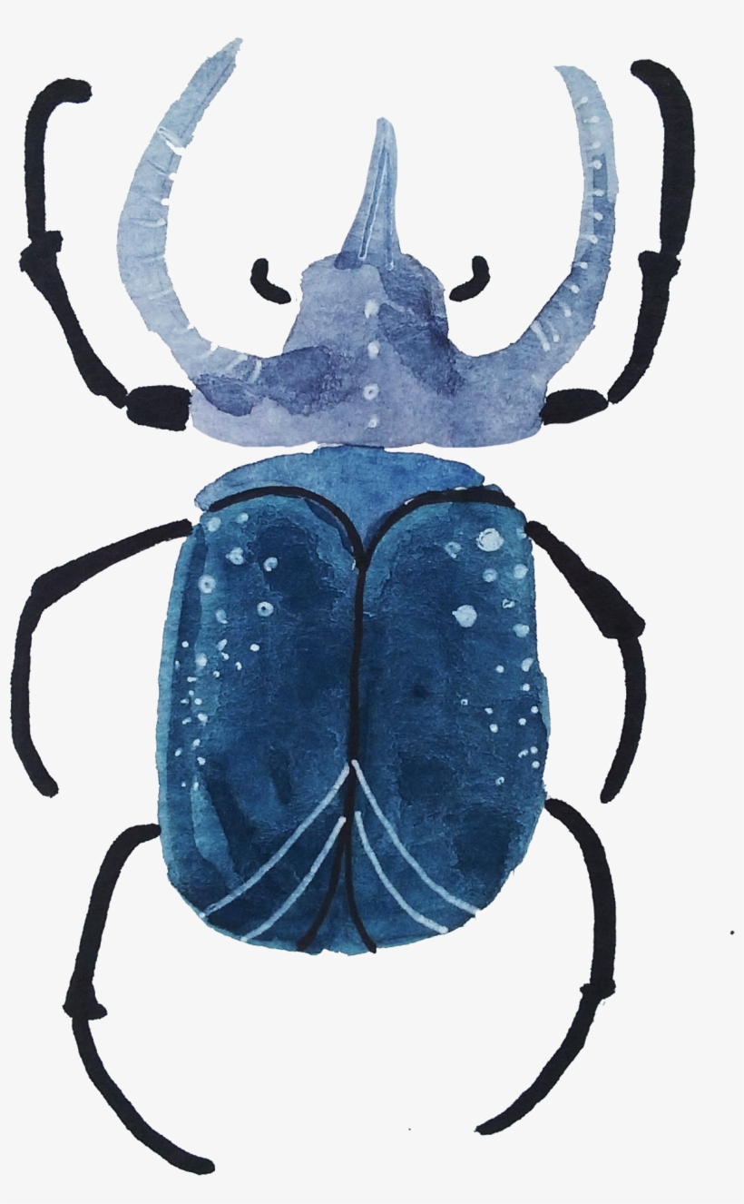 With Both Watercolors And Gouache - Dung Beetle, transparent png
