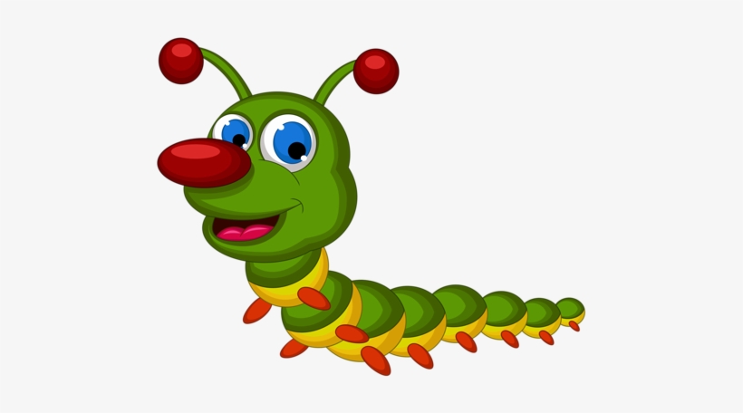 Views Album, Belated Birthday And Album - Cartoon Bugs Png, transparent png