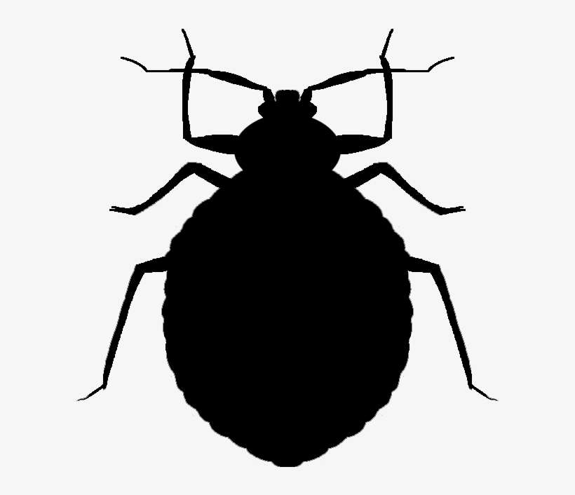 Clip Free Download Bug Away Pest Control - Bed Bug Png, transparent png