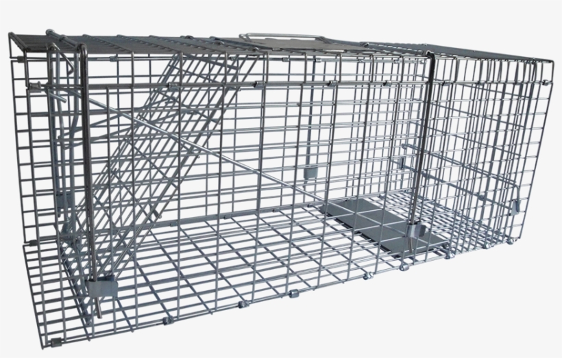 Humane Screen Cats Trap - מלכודת חתולים, transparent png