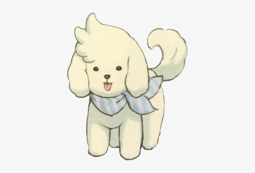Constantine Casual - Toy Poodle, transparent png