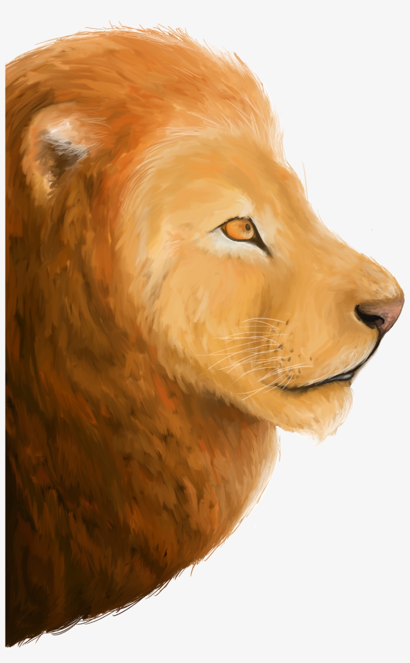 Thank You - Masai Lion, transparent png
