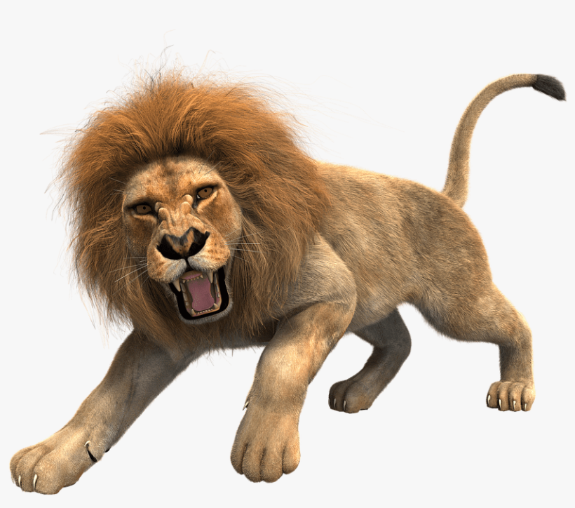 2018 Messages Sticker-1 - Lion Png Hd, transparent png