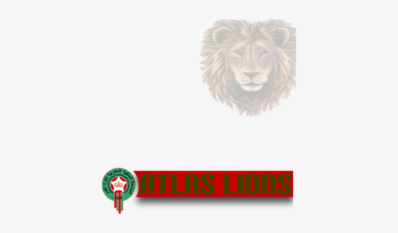 Morocco Clipart Lion - Moroccan National Team Lions, transparent png