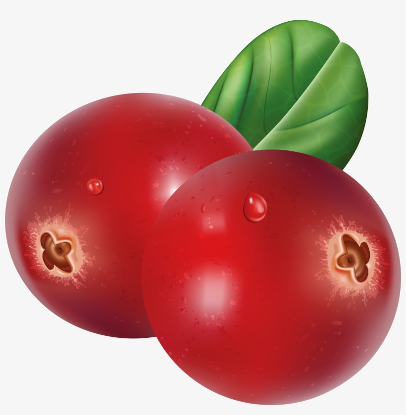 Cranberry Png, transparent png