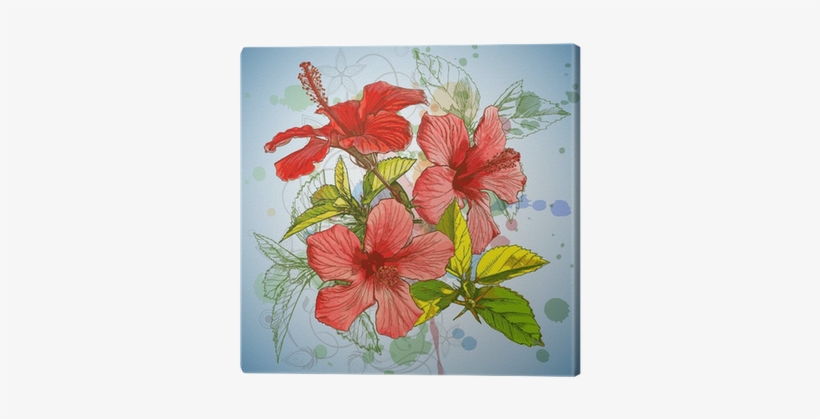 Hibiscus Flower & Watercolor Background, Stylized Orchid - Hibiscus Design Shower Curtain, transparent png