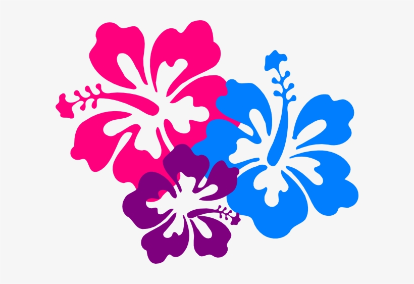 Hibiscus Border Png - Hibiscus Clip Art, transparent png
