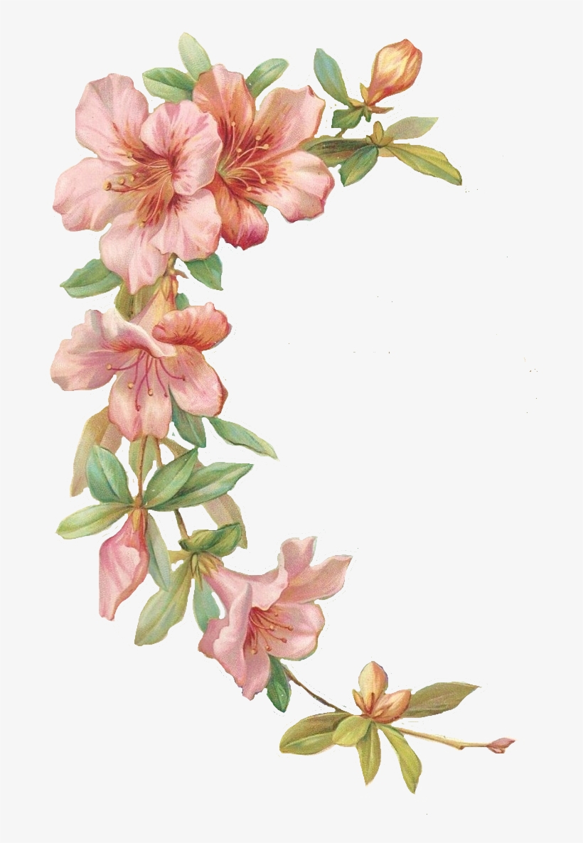 Pink Hibiscus Stationary And Journal Cards - Floral Theme Png, transparent png