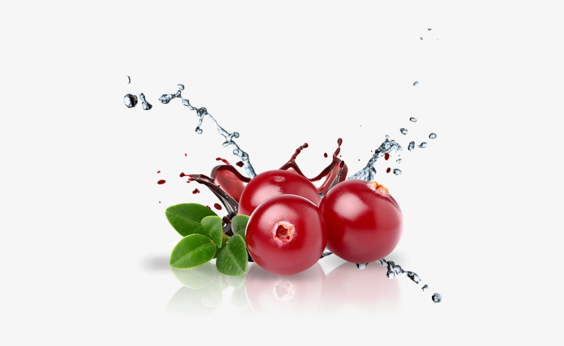 Cranberry, transparent png