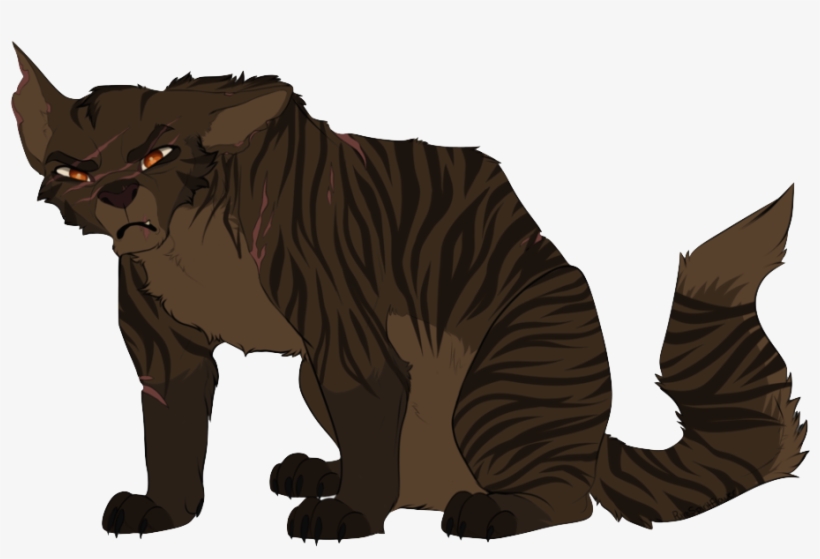 Cheeto - Cat With Broad Shoulders, transparent png