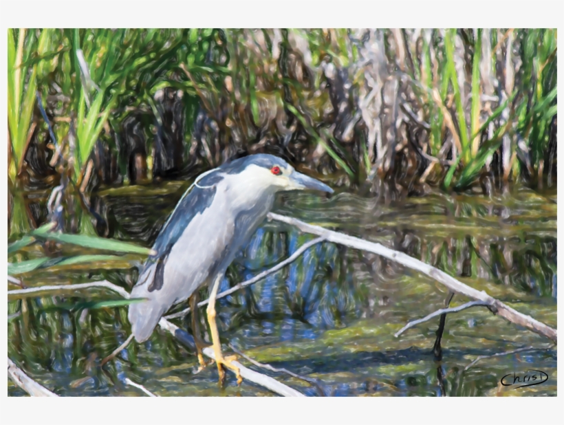 Digital Watercolour And Airbrush Printed On Canvas - Night Heron, transparent png