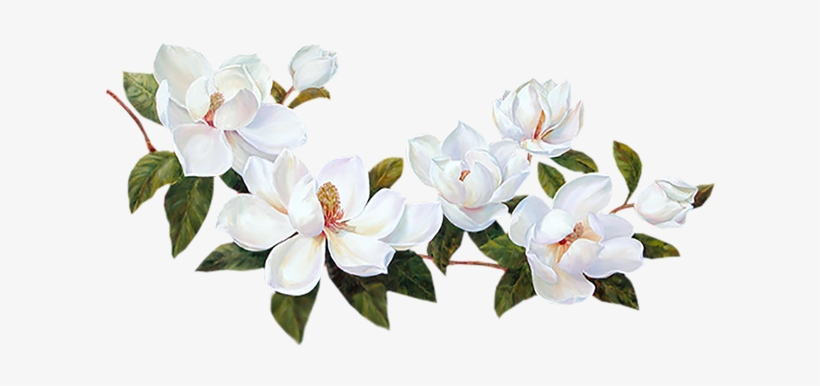 Flores Blancas Png - Bordes De Flores Blancas, transparent png
