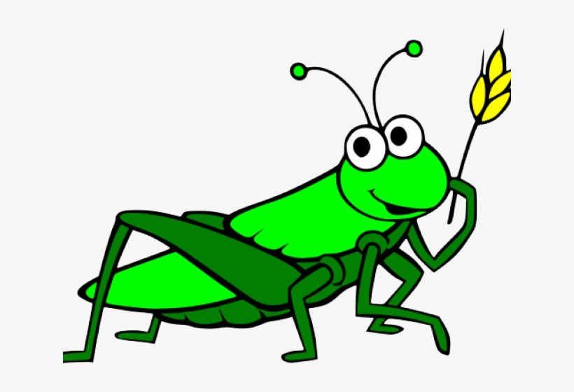 Clip Freeuse Download Grasshopper Clipart Cartoon - Grasshopper Clipart Png, transparent png