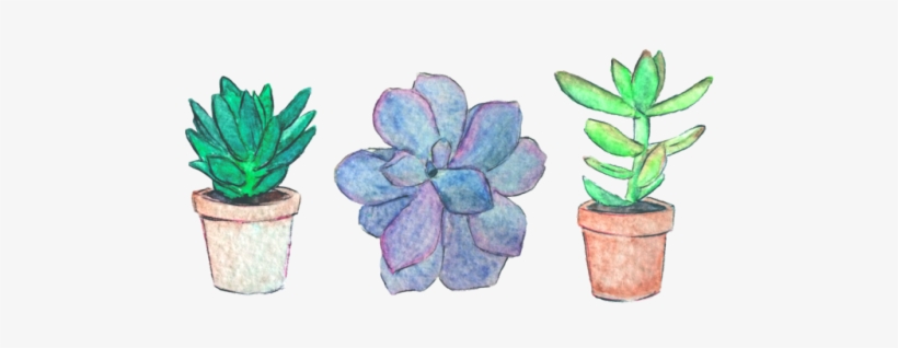 Succulents Transparent Tumblr Plant - Stickers Plants, transparent png
