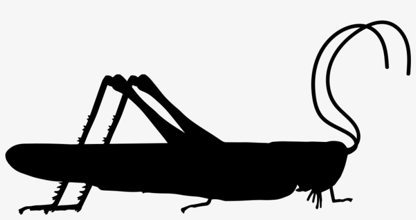 Grasshopper Insect Side View Shape Comments - Grasshopper Symbol, transparent png