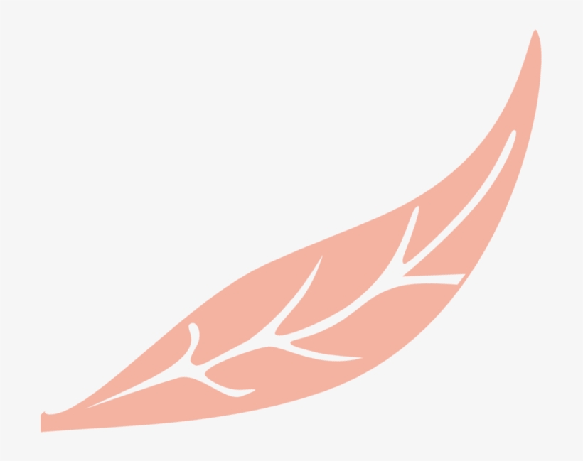 Durante Más De 46 Años, Los Eventos Realizados En La - Illustration, transparent png