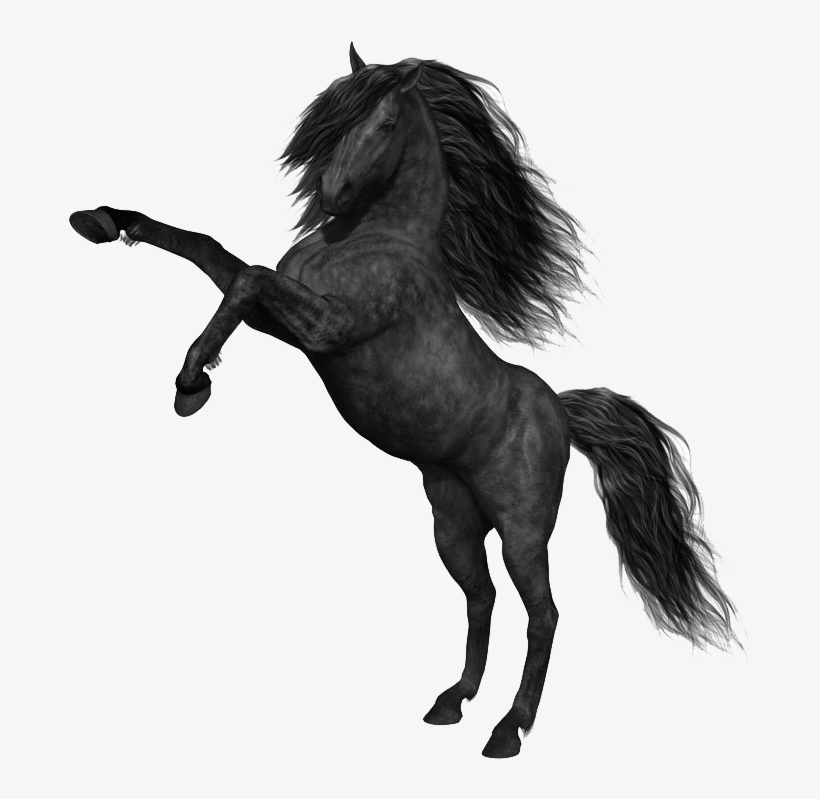 Mustang Horse Png Photos - Black Horse Png, transparent png